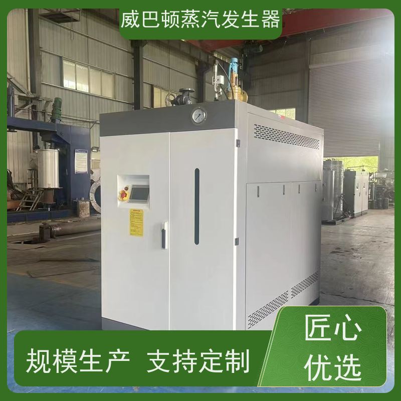  免备案 新能源环保锅炉 水容积≤30L，合规又省心 反应釜