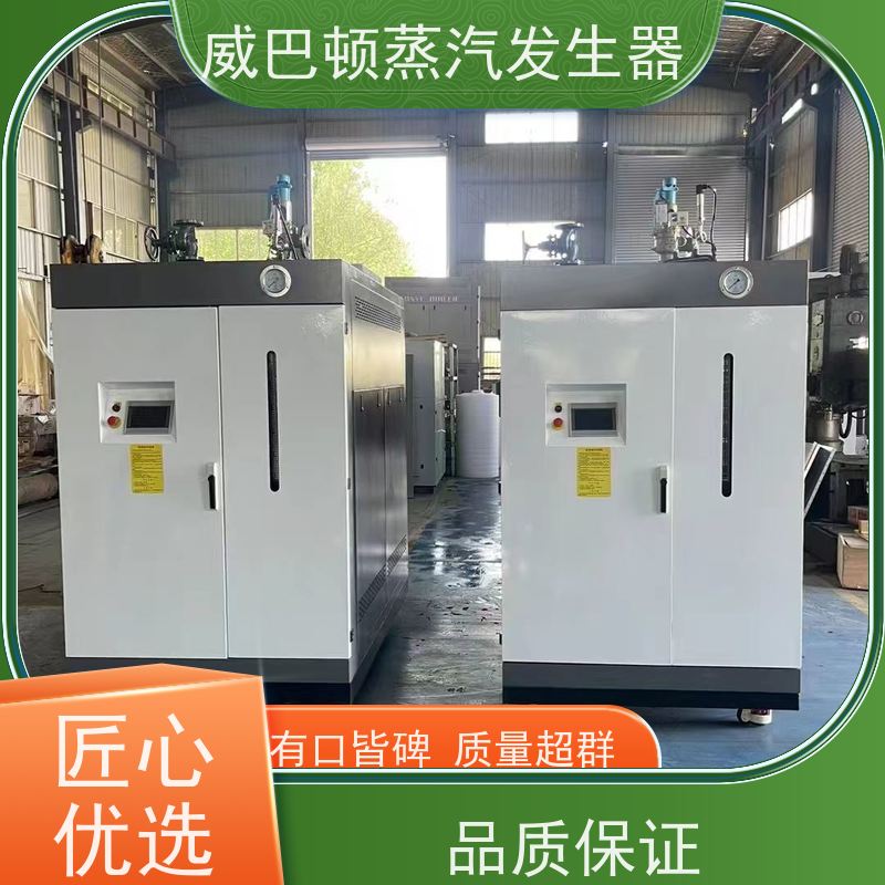  低氮冷凝 燃气蒸汽发生器 水容积≤30L，合规又省心 混凝土养护