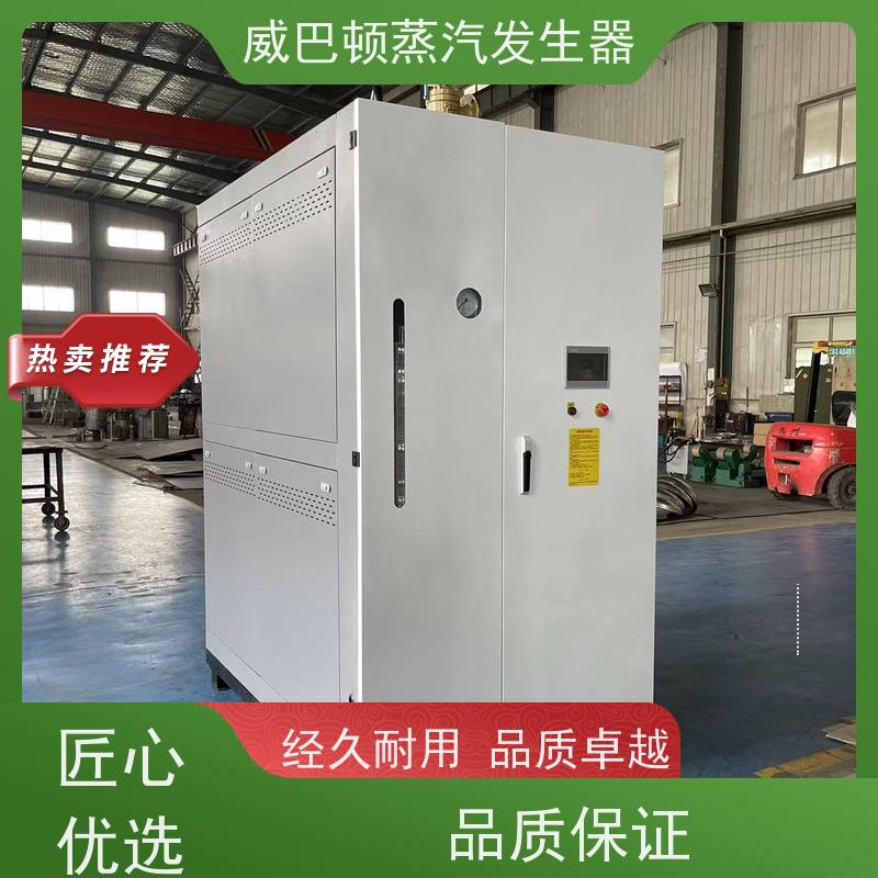 食品级 蒸汽发生器 水容积≤30L，合规又省心 造纸厂