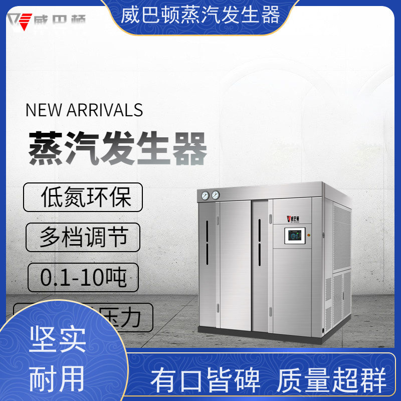  免特检 液化气蒸汽发生器 水容积≤30L，合规又省心 化工厂