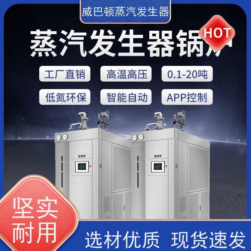  免备案 小型锅炉 水容积≤30L，合规又省心 食品厂