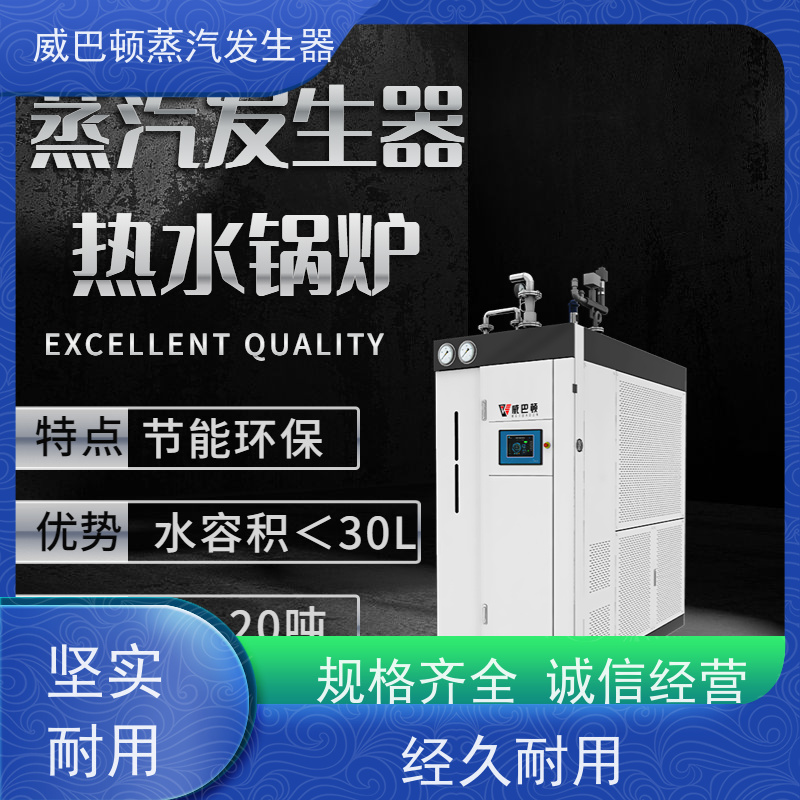  新型国标 10吨天然气锅炉 3 分钟出蒸汽 智能控温