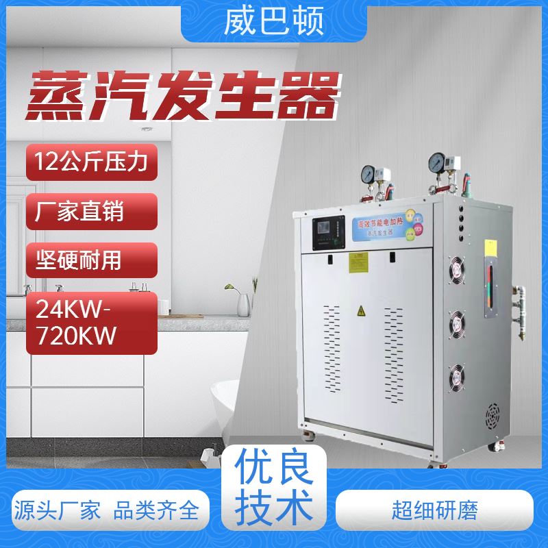  304 不锈钢内胆 洗涤服务行业 超温保护 48KW电蒸汽发生器