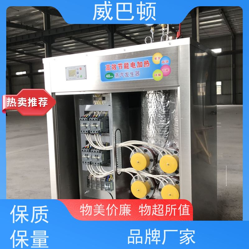  组合设计 48千瓦电蒸汽发生器 食品加工 不锈钢材质