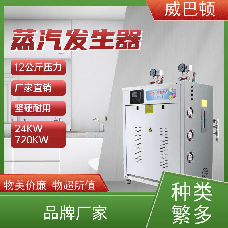  不锈钢材质 医院消毒行业 组合设计 常压电蒸汽发生器