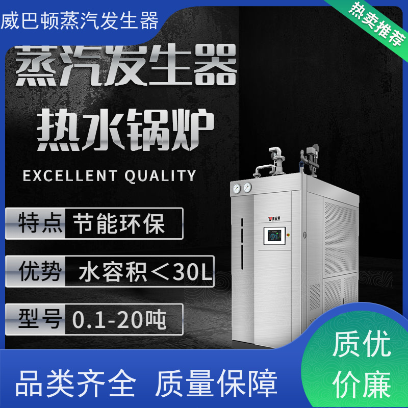  洗涤熨烫 5吨燃气锅炉 多台并联省气稳供 橡胶厂