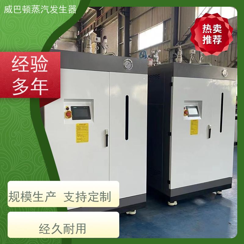  灭菌消毒 新能源环保锅炉 3 分钟出蒸汽 混凝土养护
