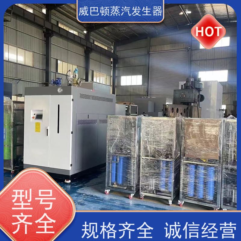  不锈钢 1吨天然气锅炉 水容积≤30L，合规又省心 混凝土养护