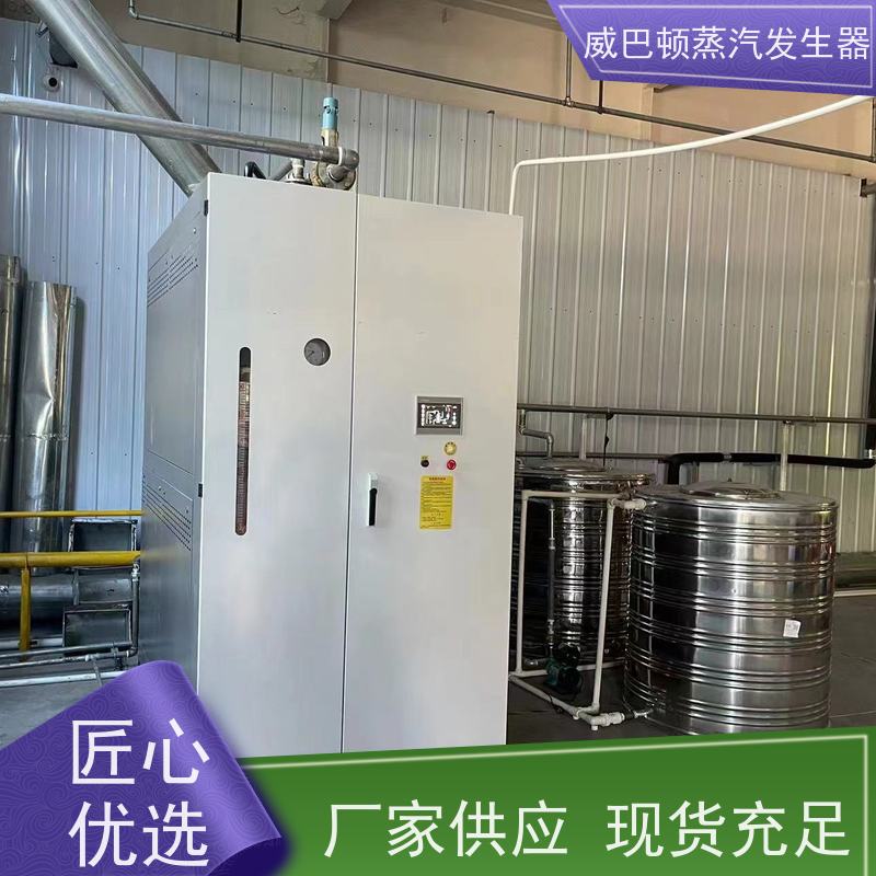  免特检 蒸汽发生器 多台并联省气稳供 高温高压