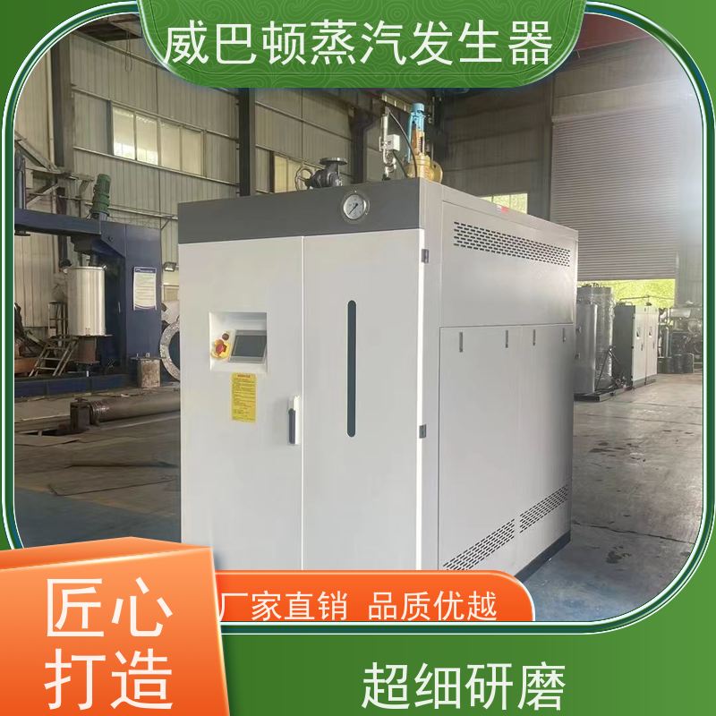  洗涤熨烫 1吨燃气热水锅炉 热效率 101% 还省气 化工厂