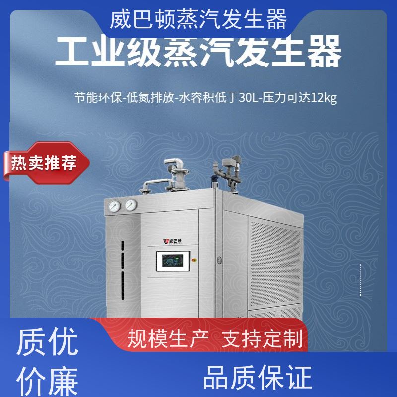  洗涤熨烫 不锈钢蒸汽发生器 启动快 混凝土养护