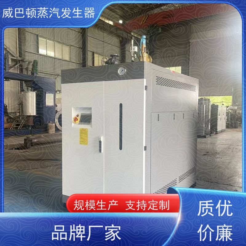  洗涤熨烫 工业蒸汽发生器 水容积≤30L，合规又省心 造纸厂