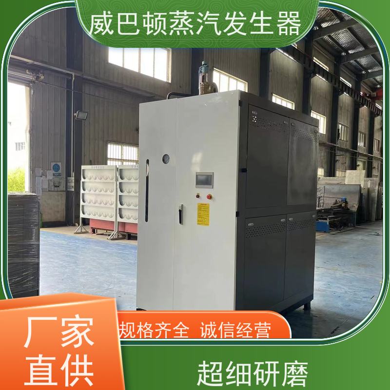  节能环保 5吨燃气锅炉 热效率 101% 还省气 混凝土养护