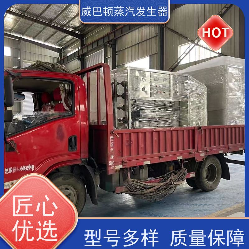  低氮冷凝 天然气锅炉设备 体积小一半全 造纸厂