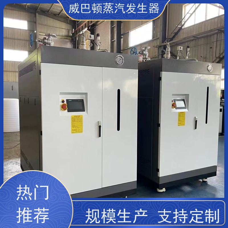  不锈钢 六吨蒸汽锅炉 水容积≤30L，合规又省心 橡胶厂