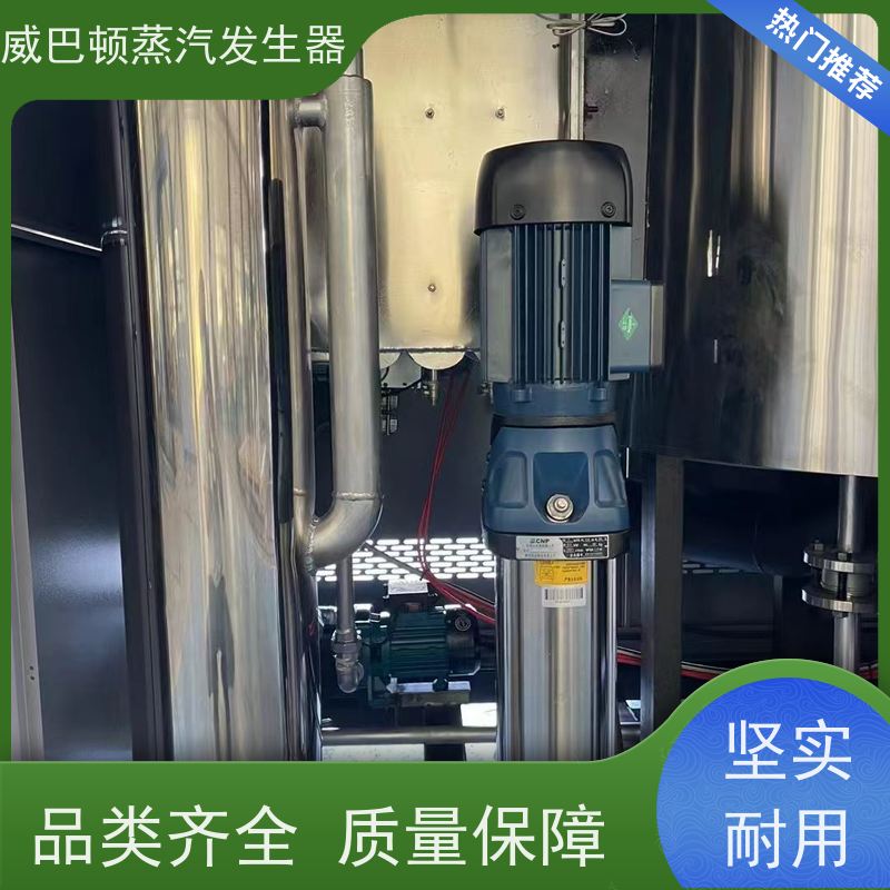  低氮冷凝 10吨天然气锅炉 3 分钟出蒸汽 智能控温
