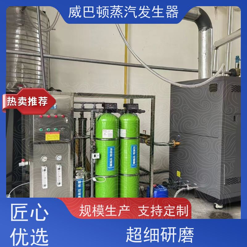  烘干熨烫 蒸汽发生器 多台并联省气稳供 饲料行业
