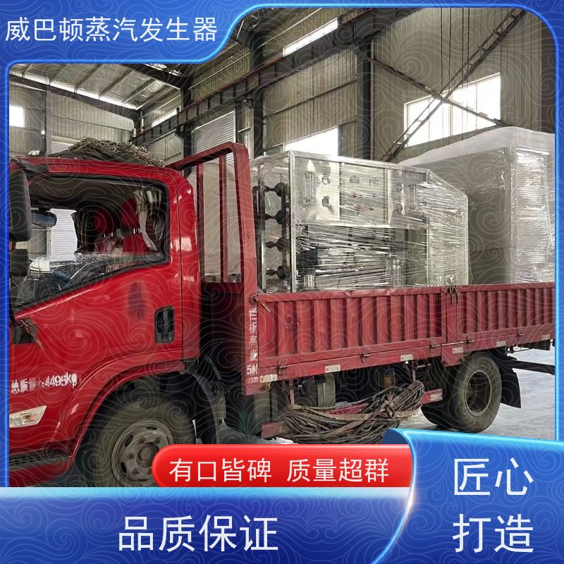  烘干熨烫 5吨蒸汽锅炉 水容积≤30L，合规又省心 大棚恒温