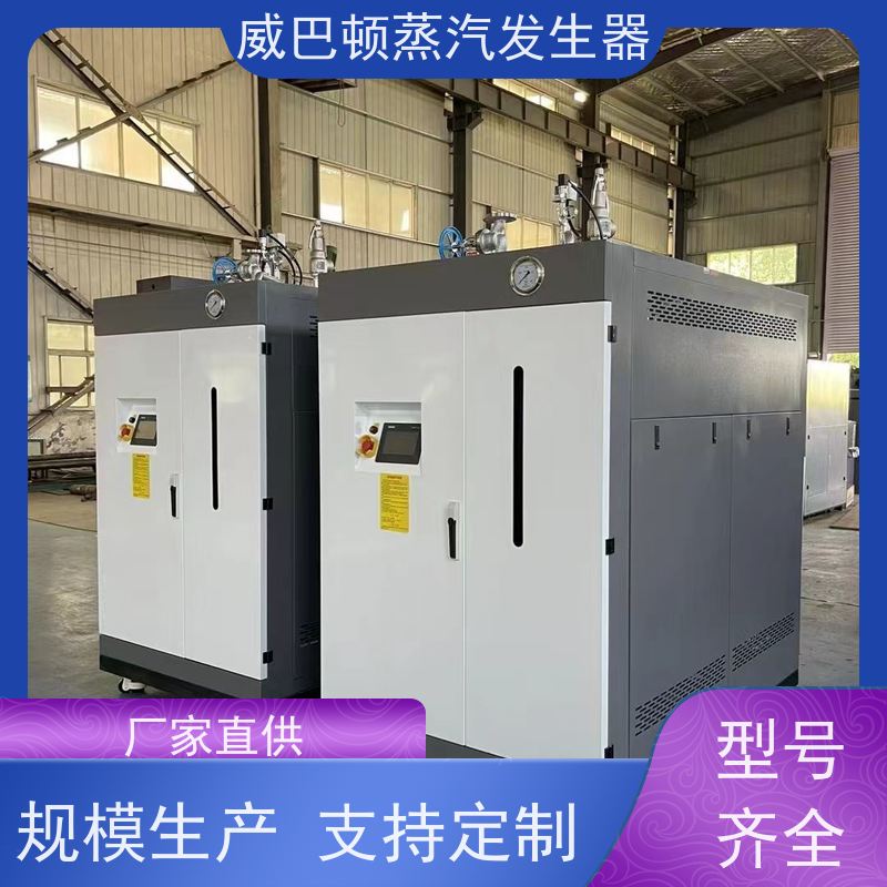  食品级 立式蒸汽锅炉 水容积≤30L，合规又省心 混凝土养护