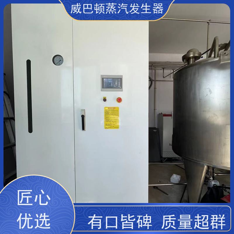  节能环保 贯流蒸汽发生器 多台并联省气稳供 造纸厂