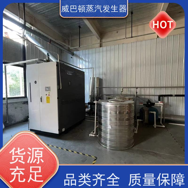  新型国标 蒸馒头专用锅炉 体积小一半全 饲料行业