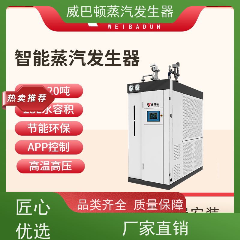  低氮冷凝 工业蒸汽发生器 体积小一半全 混凝土养护