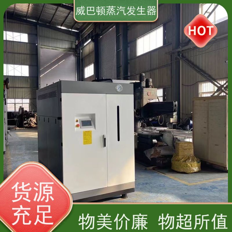  新型国标 全不锈钢锅炉 水容积≤30L，合规又省心 造纸厂