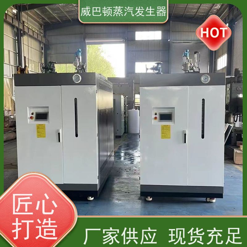  免特检 10T蒸汽发生器 水容积≤30L，合规又省心 混凝土养护
