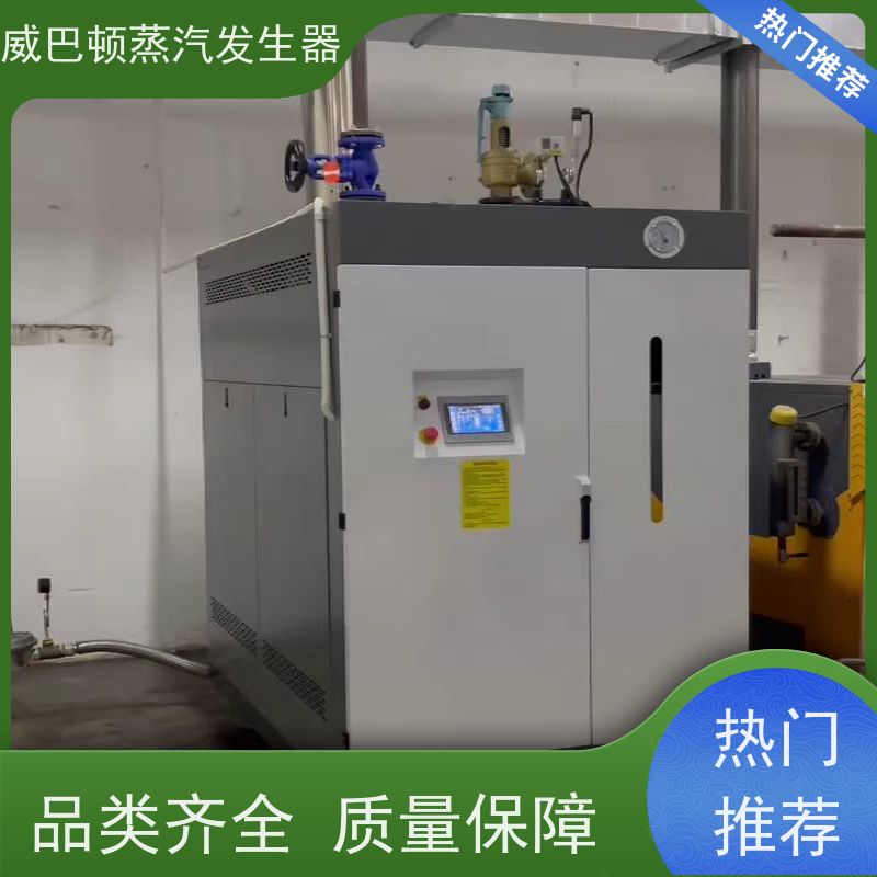  洗涤熨烫 0.5T蒸汽发生器 变频控制 混凝土养护