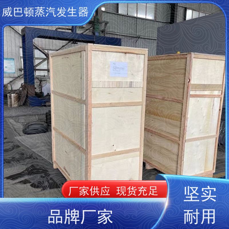  低氮冷凝 食品级蒸汽发生器 热效率 101% 还省气 高温高压