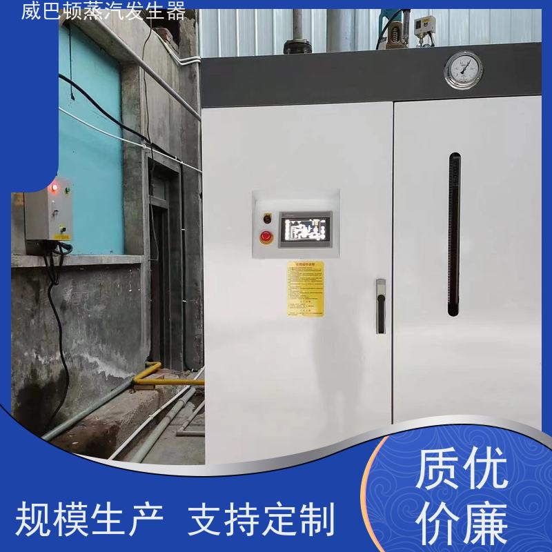  节能环保 5吨燃气锅炉 水容积≤30L，合规又省心 化工厂