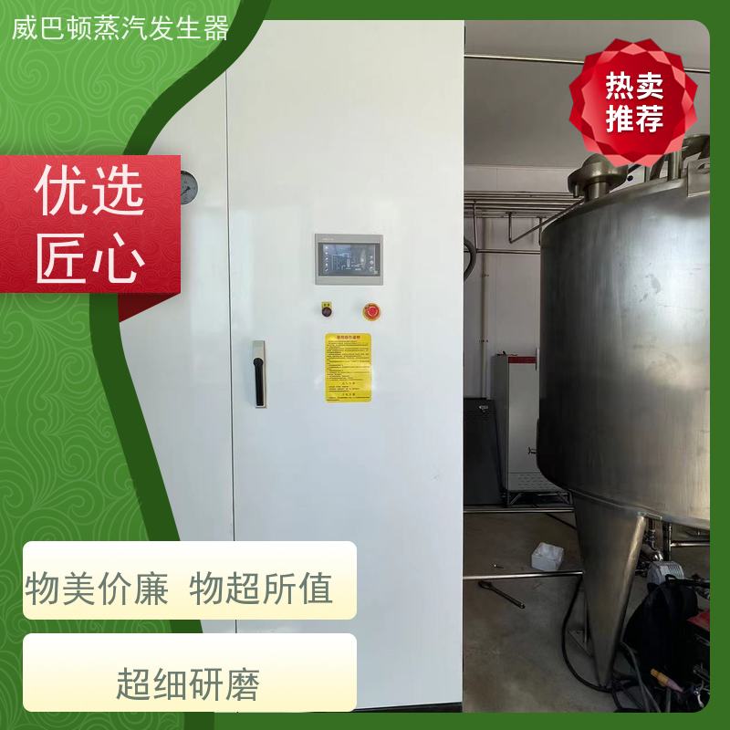  免备案 锅炉酿酒设备 操作简单 豆腐腐竹加工厂