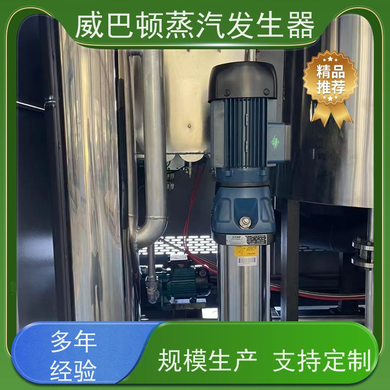  食品级 高压蒸汽发生器 多台并联省气稳供 制药厂