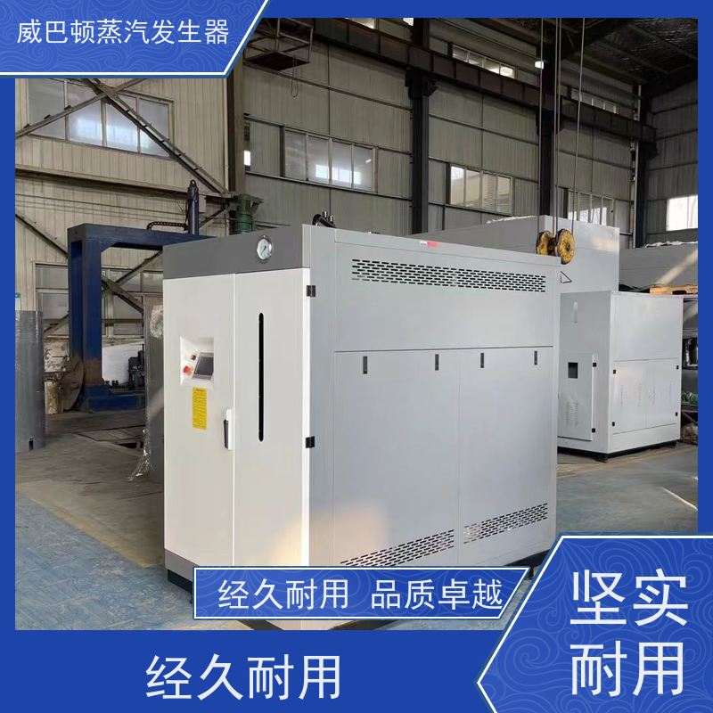  免登记 蒸馒头专用锅炉 变频控制 豆腐腐竹加工厂