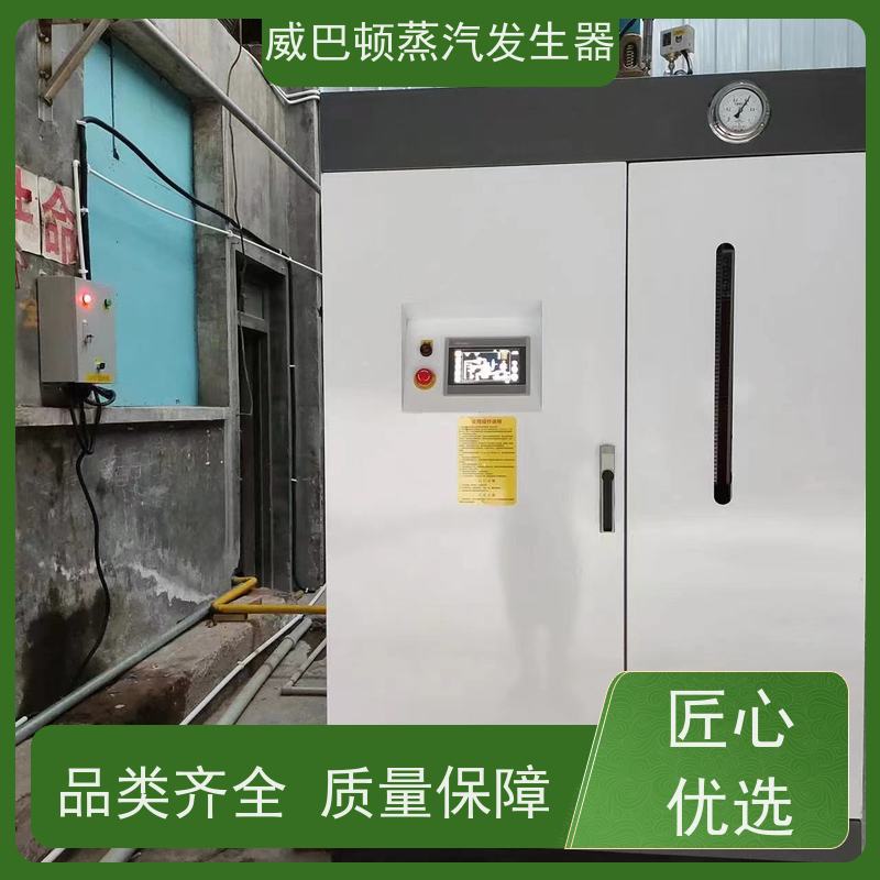  节能环保 不锈钢蒸汽发生器 热效率 101% 还省气 混凝土养护
