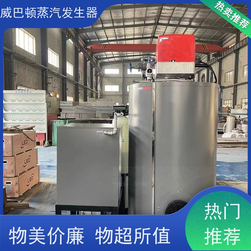  节能环保 洗涤蒸汽发生器 多台并联省气稳供 混凝土养护