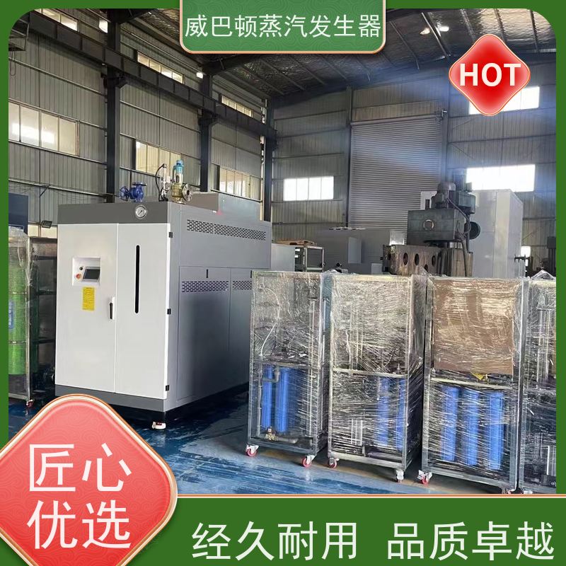  节能环保 洗涤蒸汽发生器 多台并联省气稳供 豆腐腐竹加工厂