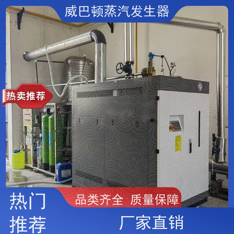  烘干熨烫 2吨蒸汽发生器 体积小一半全 巴氏消毒