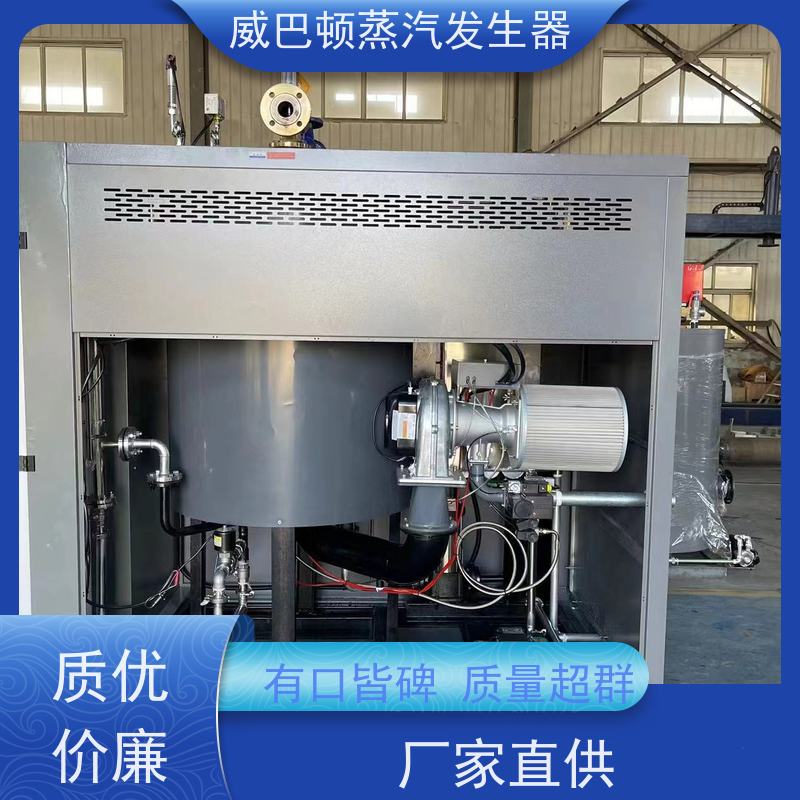  低氮冷凝 天然气烧锅炉 水容积≤30L，合规又省心 泡沫厂