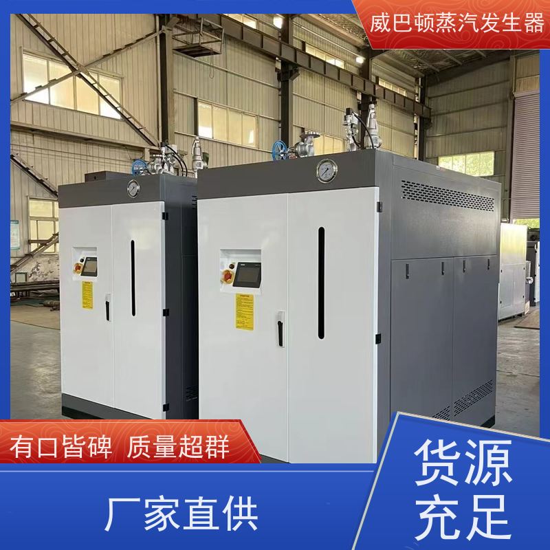  节能环保 贯流蒸汽锅炉 水容积≤30L，合规又省心 混凝土养护