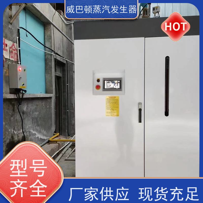  新型国标 新能源环保锅炉 多台并联省气稳供 混凝土养护