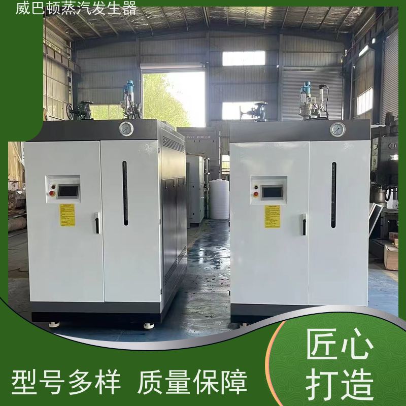  节能环保 1吨蒸汽发生器 热效率 101% 还省气 智能控温