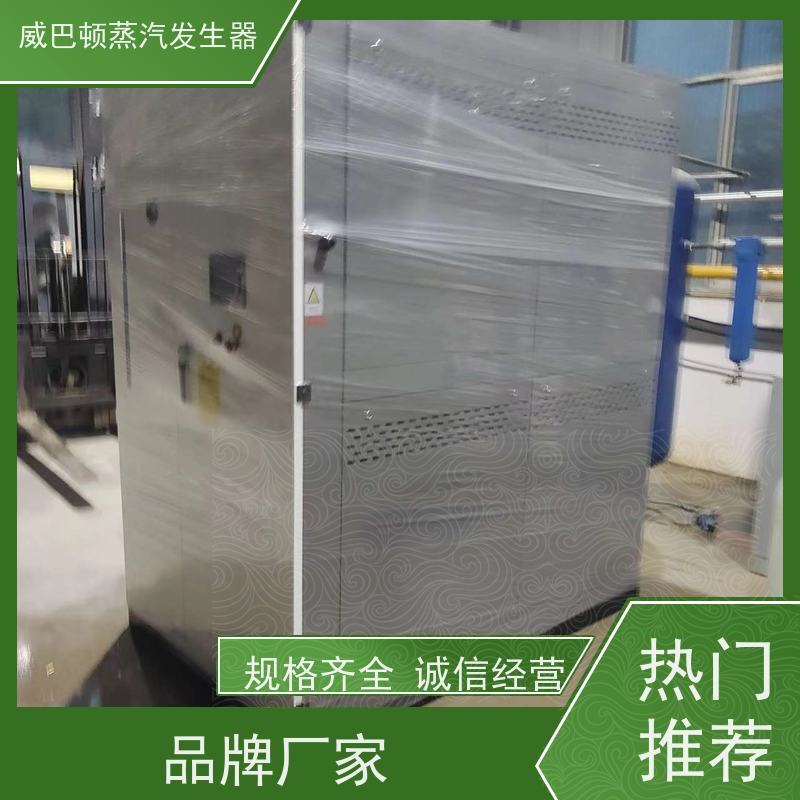  灭菌消毒 蒸馒头专用锅炉 热效率 101% 还省气 化工厂