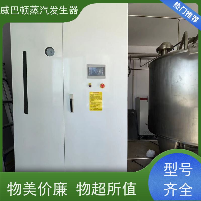  低氮冷凝 液化气热水锅炉 热效率 101% 还省气 豆腐腐竹加工厂