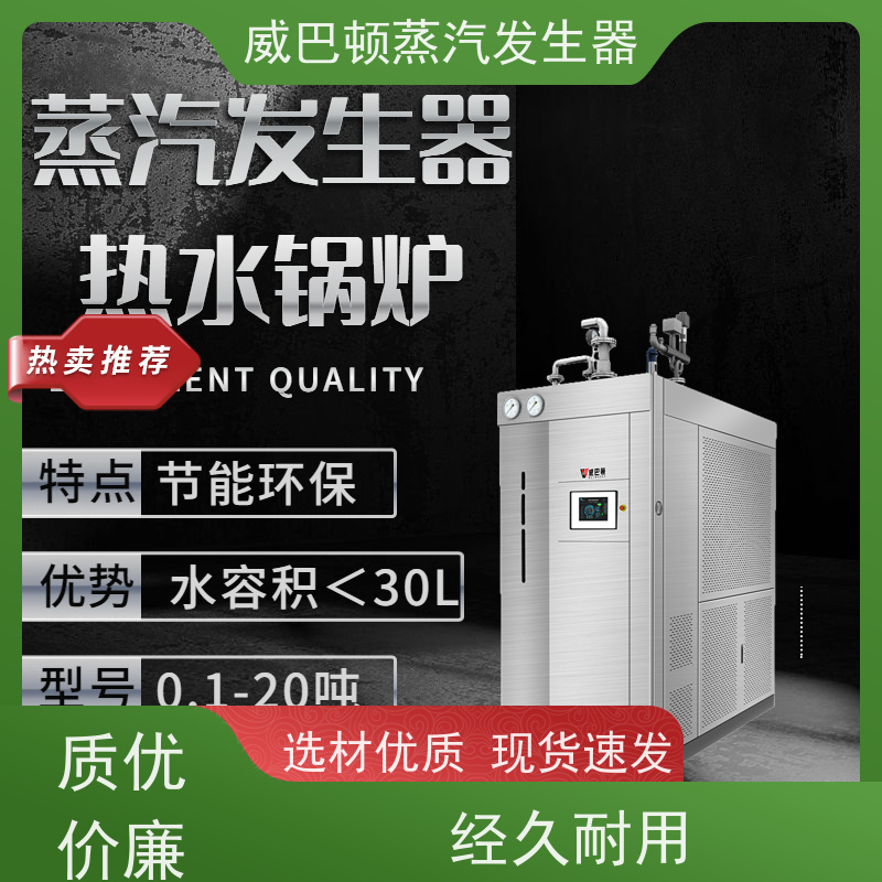  节能环保 蒸馒头专用锅炉 体积小一半全 混凝土养护