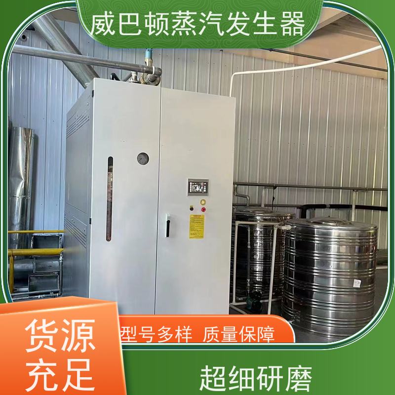  洗涤熨烫 节能蒸气炉 多台并联省气稳供 豆腐腐竹加工厂