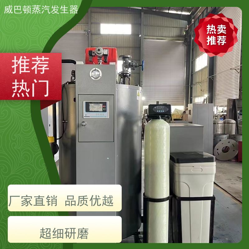  低氮冷凝 液化气热水锅炉 热效率 101% 还省气 印染厂