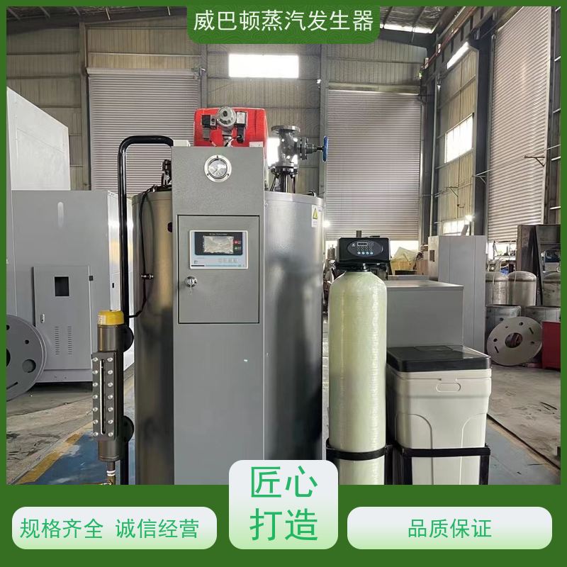  低氮冷凝 1吨天然气锅炉 省气 30% 豆腐腐竹加工厂