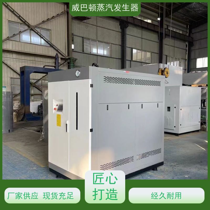  烘干熨烫 工业蒸汽发生器 水容积≤30L，合规又省心 橡胶厂
