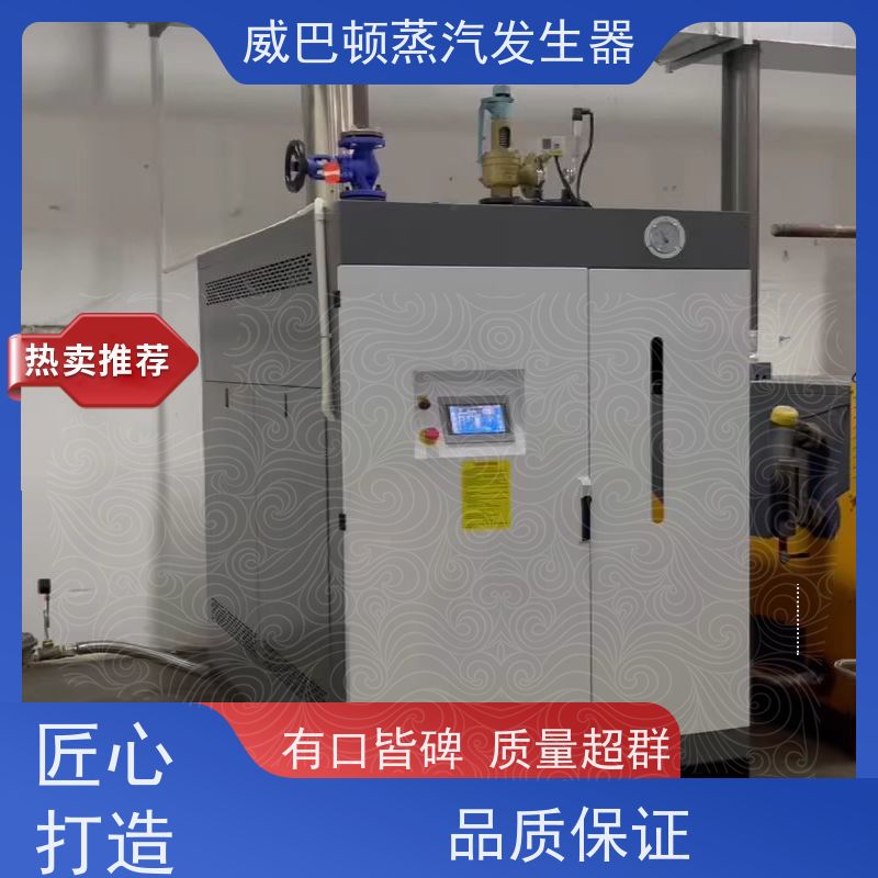  节能环保 10T蒸汽发生器 小车间也能轻松装 造纸厂